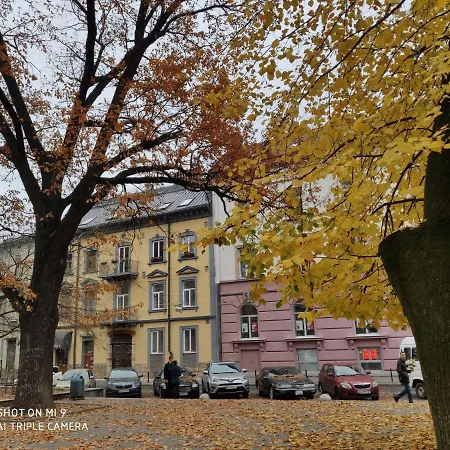 Stay Lviv Apartments Апартаменты *